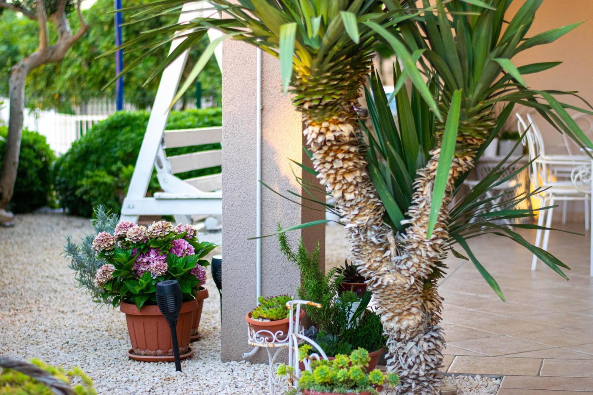 Apartments Anita Frane Водице Екстериор снимка