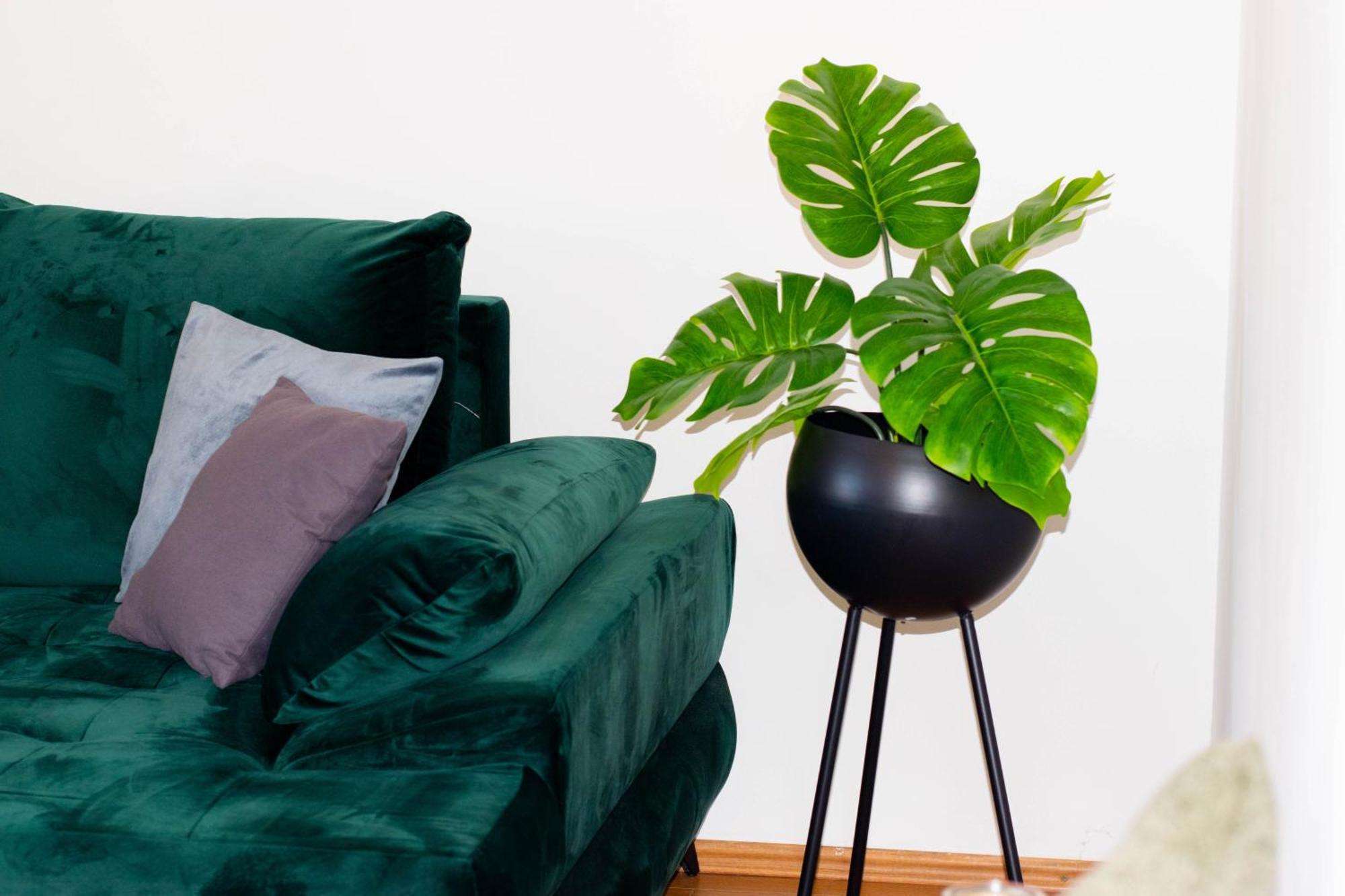 Apartments Anita Frane Водице Екстериор снимка